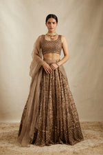 Brown Color Designer Embroidery Lehenga Choli