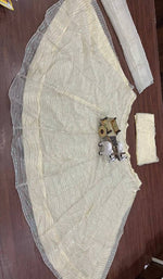 Cream Organza Silk Embroidered Lehenga Choli for Women