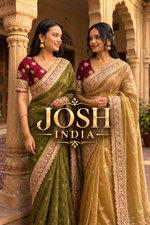 Mocha Silk Saree Sequins Cording Work Frill Lace Border with Blouse Piece
