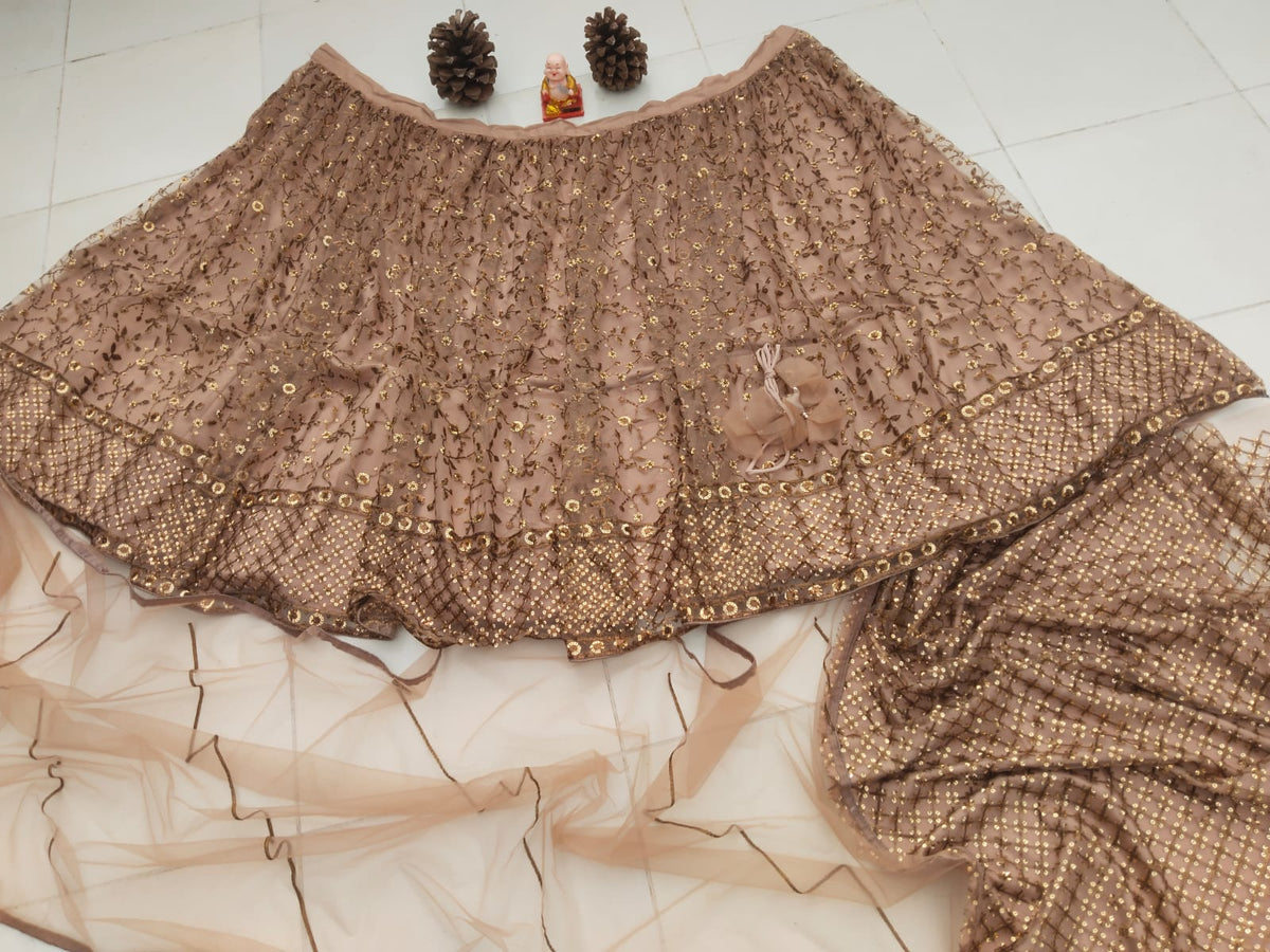 Brown Color Designer Embroidery Lehenga Choli