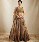 Buy Latest Brown Color Lehenga Choli Online at Best Price - Joshindia