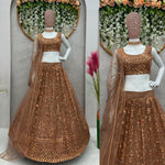 Buy Latest Brown Color Lehenga Choli Online at Best Price - Joshindia