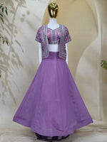 Lavender Vichitra Lehenga Choli with Embroidery Koti Set