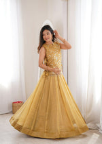 Cream Designer Salsa Crush Embroidered Lehenga Choli