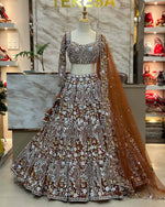 Royal Mirror Work Butterfly Net Lehenga Choli with Dupatta