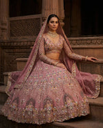 Elegant Gold Crush Embroidered Lehenga Choli