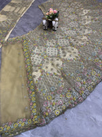 Elegant Cream Sequins EmbroideredLehenga Choli