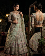 Light Designer Sequins EmbroideredLehenga Choli