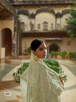 Amazing Light Green color Heavy Designer saree with blouse - Joshindia