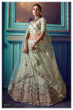 Beautiful pista green designer lehenga Choli for Classy looks buy It now - Joshindia