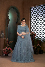 Beautiful grey color net designer lehenga choli at affordable price - Joshindia