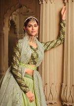 Beautiful Pista Color Lehenga Choli For Wedding - Joshindia