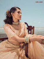 New Designer Peach Color Lehenga Choli For Woman - Joshindia