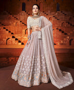 Dreamy Peach Color Designer Lehenga Choli Buy Now - Joshindia