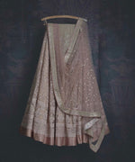 Beautiful Light Pink designer Lehenga Choli For great looks - Joshindia