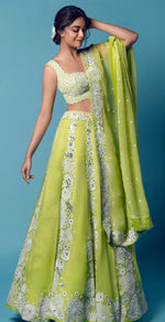 Light Green Color Heavy Designer Lehenga Choli Buy Online - Joshindia