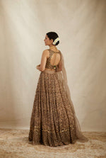 Brown Color Designer Embroidery Lehenga Choli