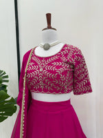 Pink Color Beautiful Border Lehenga Choli