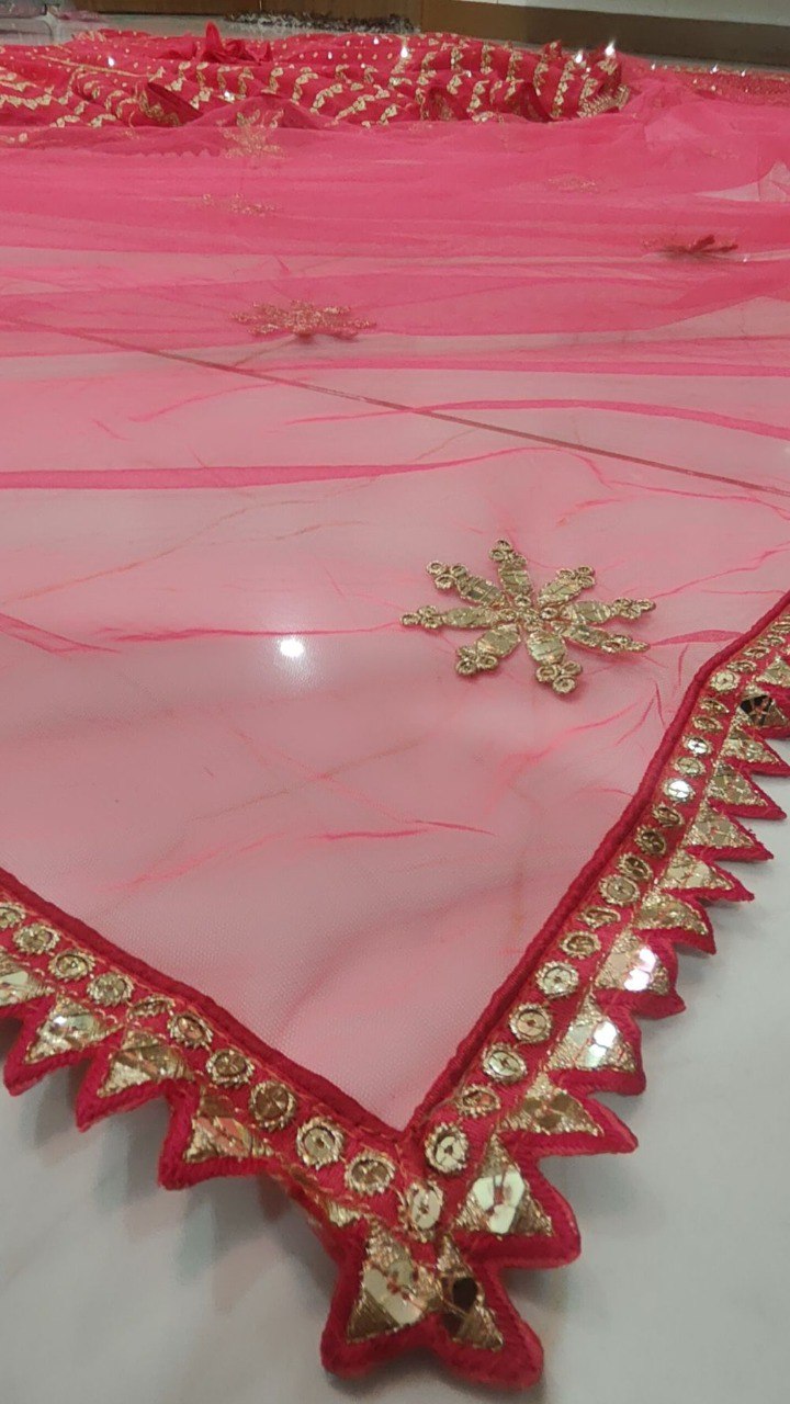 Light Red Color Designer Party Wear Lehenga Choli