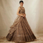 Buy Latest Brown Color Lehenga Choli Online at Best Price - Joshindia