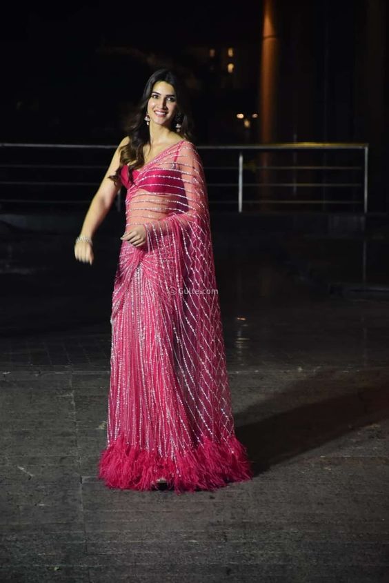 Buy Pink Butterfly Net Saree Online In India - Joshindia