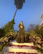 Awesome New Designer Lehenga Choli With Dupatta - Joshindia