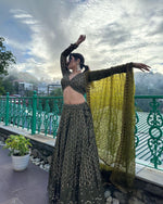 Awesome New Designer Lehenga Choli With Dupatta - Joshindia