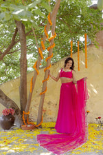 Pretty in Pink Lehenga Cholis - Joshindia
