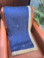 Vichitra Silk Saree Real Mirror Work Moti Golden Lace Border with Blouse