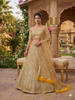 Premium Soft Net Designer Lehenga Choli