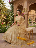 Premium Soft Net Designer Lehenga Choli