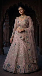 Premium Baby Pink Color Soft Net Embroidered Lehenga Choli