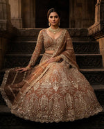 Elegant Brown Embroidery Sequins Work Lehenga Choli