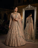 Royal Ivory Coding Sequins Stone Lehenga Choli