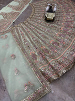 Light Designer Sequins EmbroideredLehenga Choli