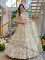 DesignerEmbroidery Butterfly Net Lehenga Choli