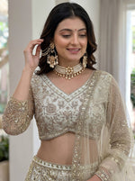 DesignerEmbroidery Butterfly Net Lehenga Choli