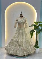 DesignerEmbroidery Butterfly Net Lehenga Choli