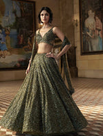 Mehendi Color Designer Lehenga Choli Buy Now