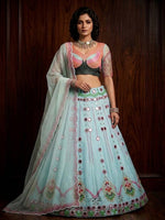 Sky Blue Butterfly Net Lehenga Choli with Real Mirror
