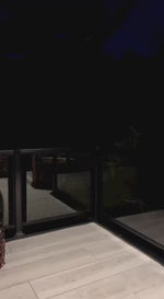 Buy Latest Black Color Lehenga Choli Online at Best Price