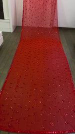 Beautiful sequence saree for partywear look