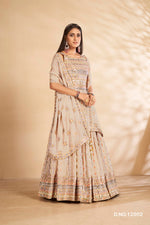 Beautiful Party wear Grey Designer Gown - Joshindia