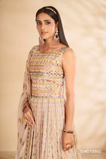 Beautiful Party wear Grey Designer Gown - Joshindia