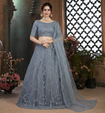 Beautiful grey color net designer lehenga choli at affordable price - Joshindia