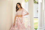 Designer Lehenga Choli - Joshindia