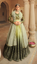 Beautiful Pista Color Lehenga Choli For Wedding - Joshindia