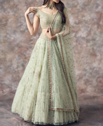 Beautiful Light green designer lehenga Choli for Classy looks buy It now - Joshindia