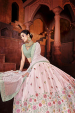 Terrific Light Pink Color Designer Lehenga Choli Buy Now - Joshindia