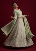 Pastel green color designer lucknowi lehenga choli - Joshindia